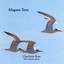 Elegant Tern Albumcover