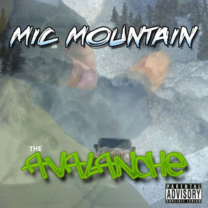 Avalanche cover