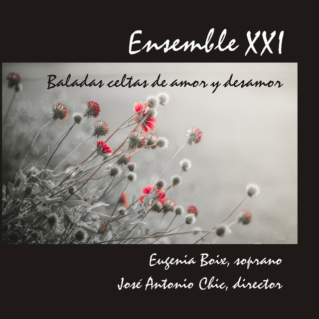 Ensemble XXI Photo