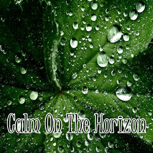 Calm On The Horizon album
