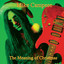 The Meaning Of Christmas Albumcover