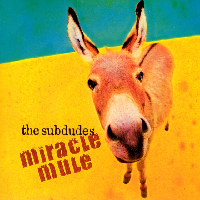 Miracle Mule cover