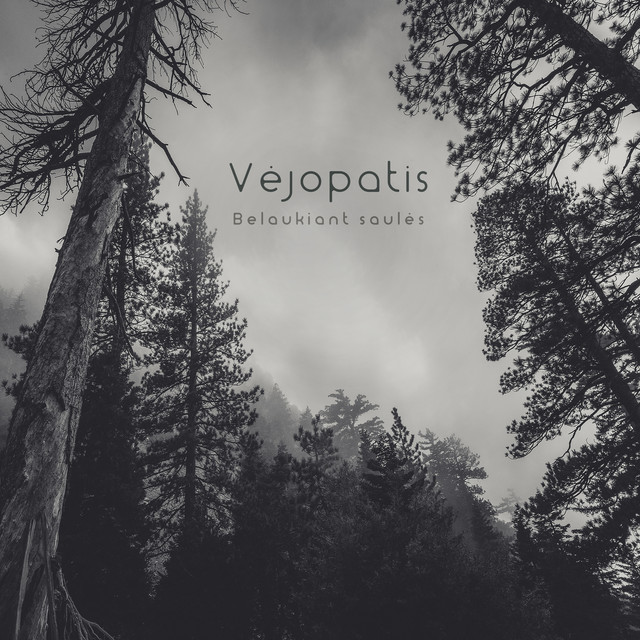 Vėjopatis Photo