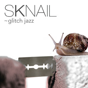 Sknail Photo