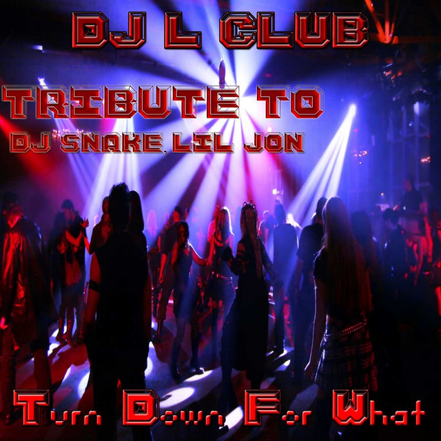 Turn Down For What: Tribute To Dj Snake & Lil Jon cover