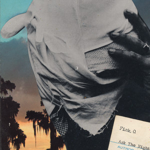 Ask the Night cover
