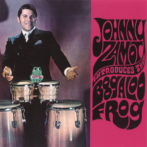 Introduces the boogaloo frog cover