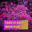Take It Easy With Pop cover