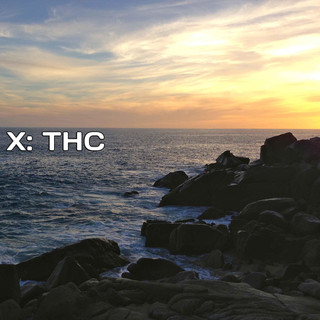 THC-X Photo