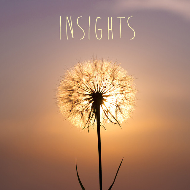 Insights Albumcover