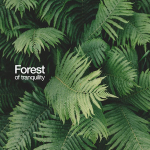 Forest of Tranquility cover