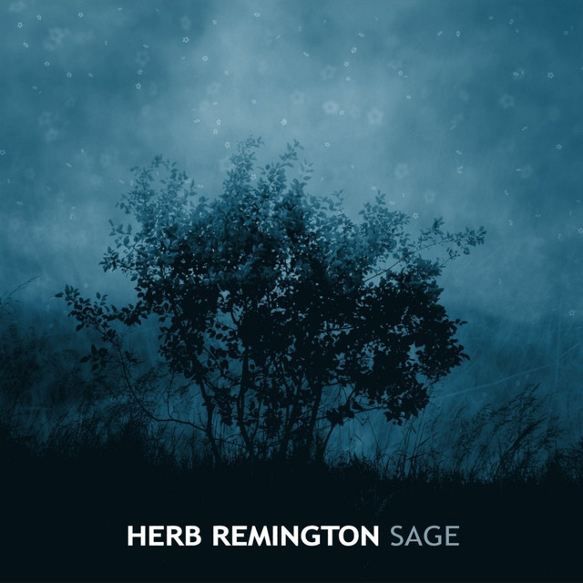 Herb Remington Photo