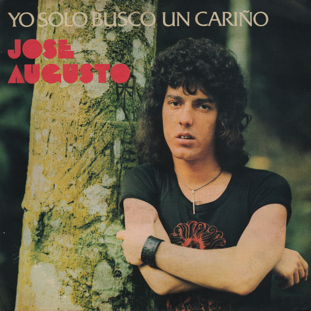 Yo Solo Busco Un Cariño cover