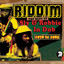 Riddim: The Best of Sly & Robbie in Dub 1978-1985 cover