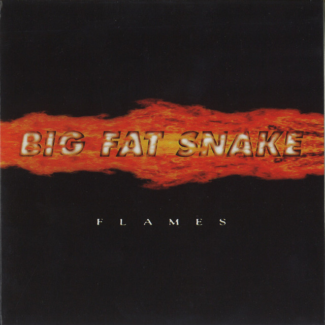 Flames cover