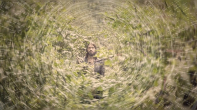Jungle Full of Ghosts cover art
