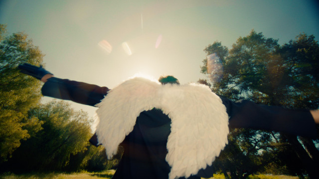 Plucked (Official Music Video) cover art