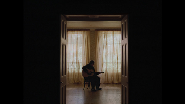 Survive cover art