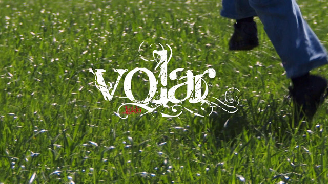 Volar cover art