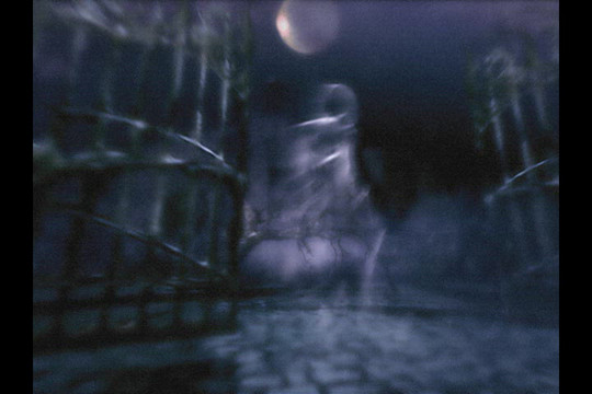 The Kiss of Dawn cover art