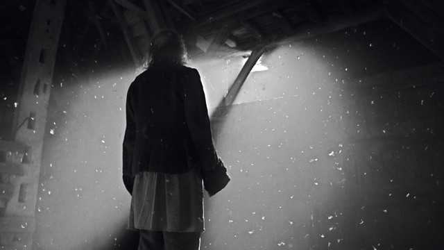 Flown (Official Music Video) cover art