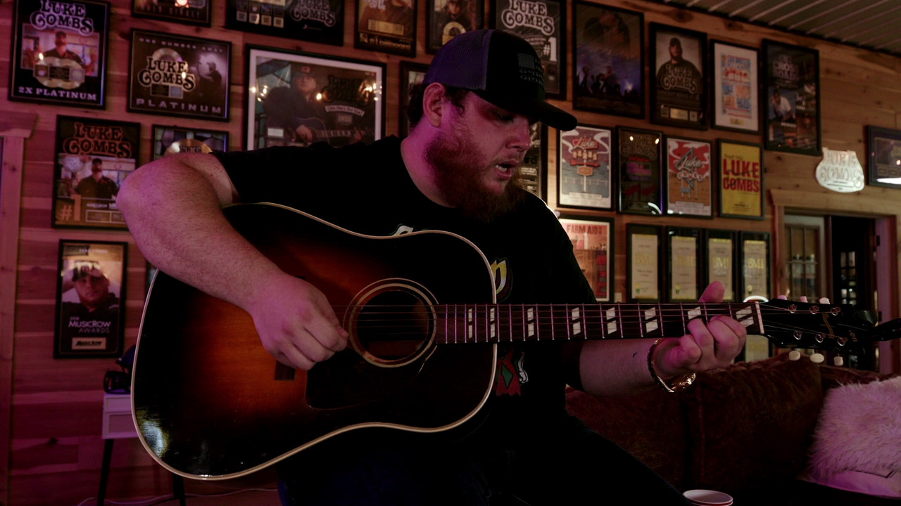 Beer Never Broke My Heart - Live Acoustic
