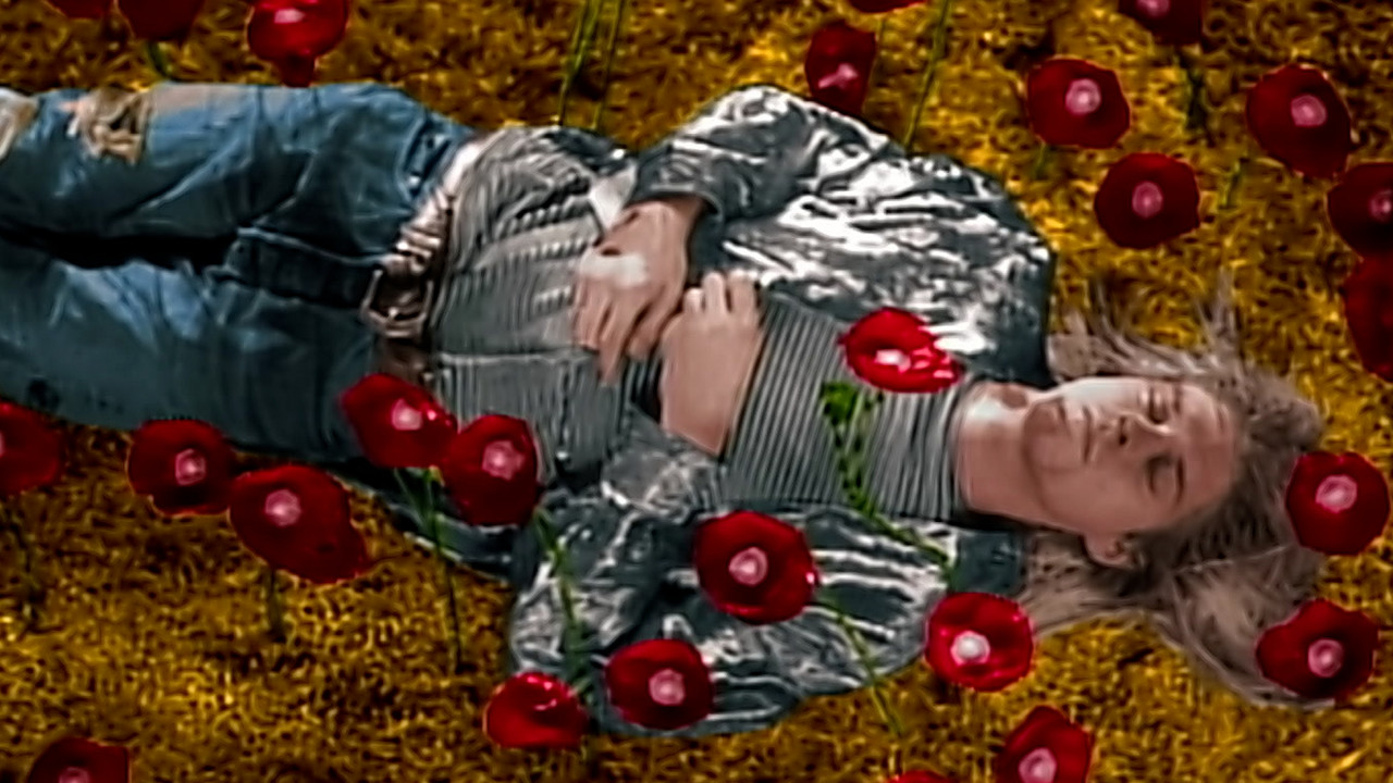 Heart-Shaped Box - Director's Cut