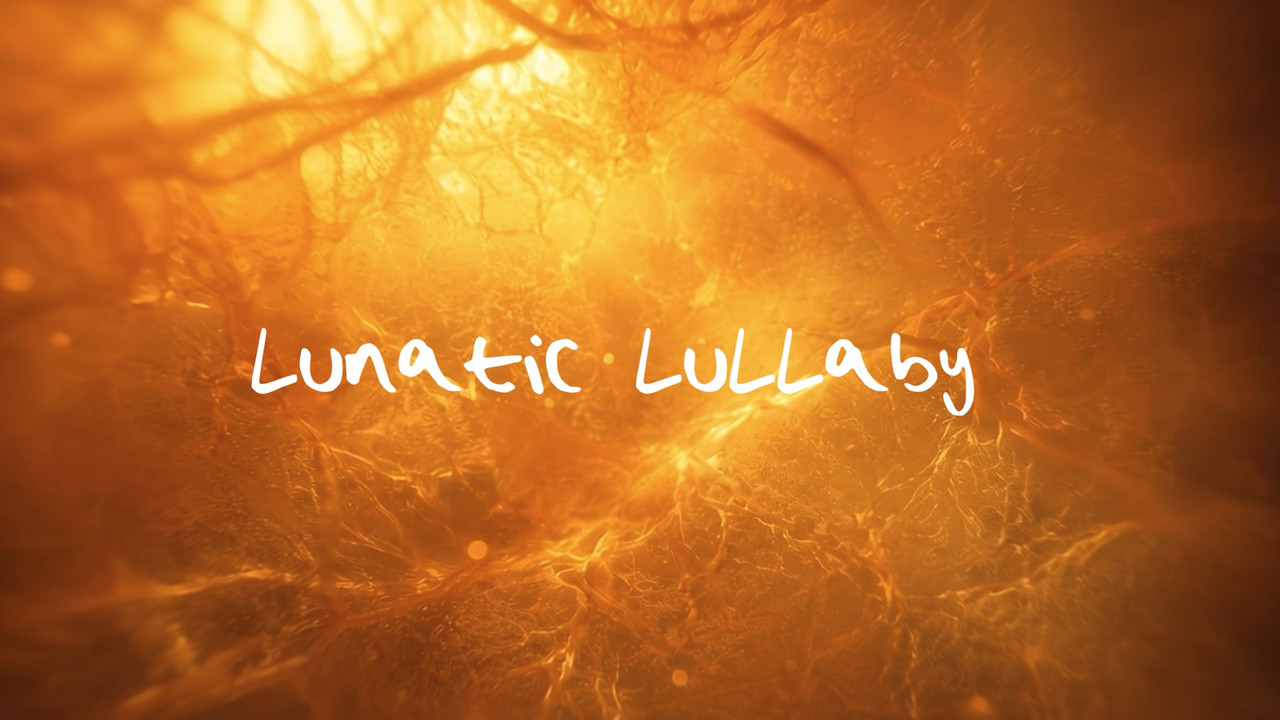 Lunatic Lullaby