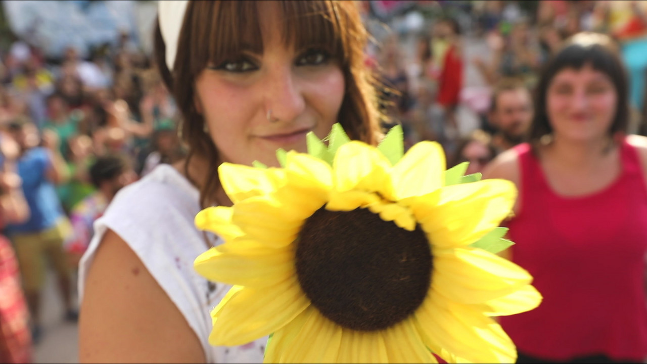 Girasoles