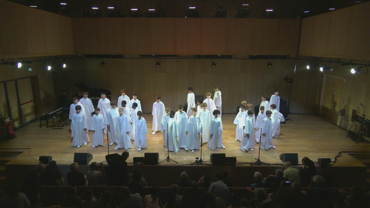 The Fields of Athenry - Live in Ireland - 2025