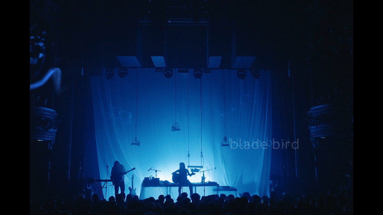 blade bird