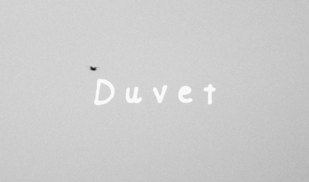 Duvet