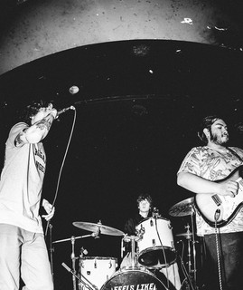 Safety Society