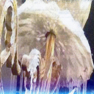 Popolice Photo