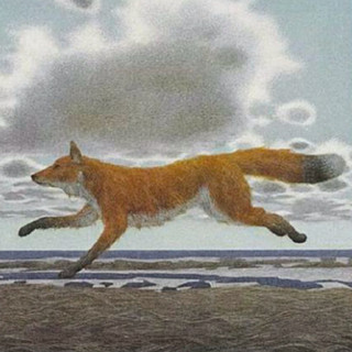 foxfoxfox