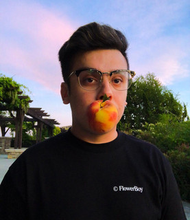 Justin Wiltron