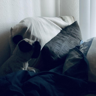 smugface artist photo