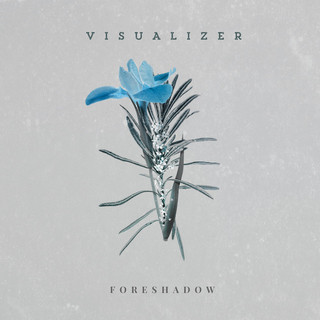 Visualizer