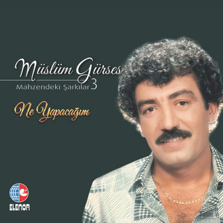 Müslüm Gürses