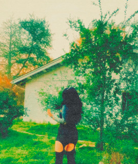 Soft Vision