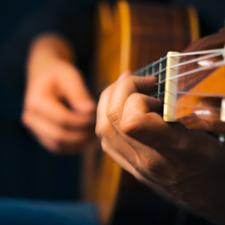 Nylon & Frets