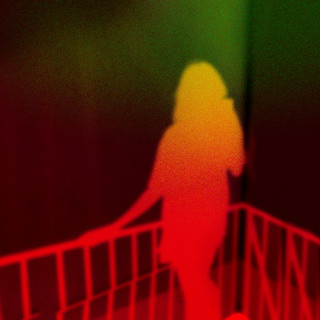 LacopinedeFlipper Photo