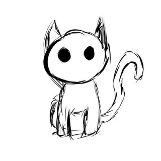Feline