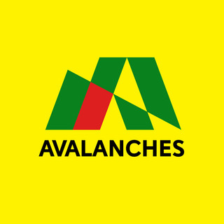 The Avalanches poster
