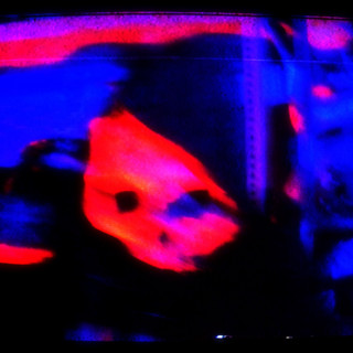 Gato Flacko