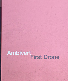 Ambivert