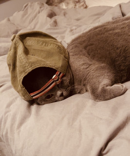 Brusen