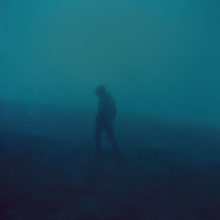 .diedlonely poster