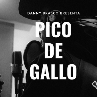 Danny Brasco poster
