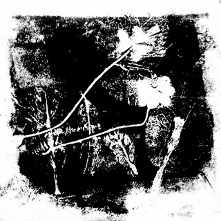 me quieres mucho, no me quieres nada poster